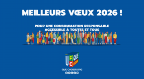 Meilleurs Voeux 2026
